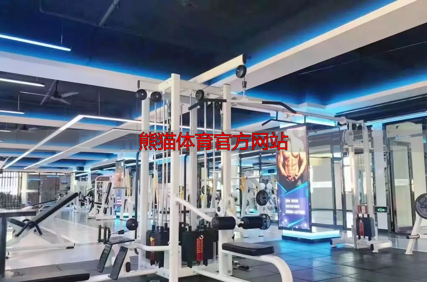 熊貓?bào)w育官方網(wǎng)站